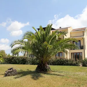 Palmas Dorada , Olmedo Italie